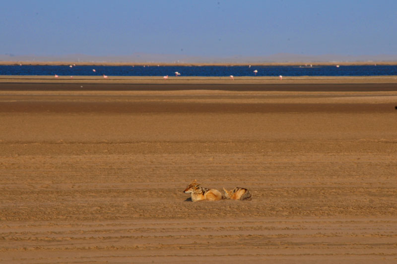 Namibia